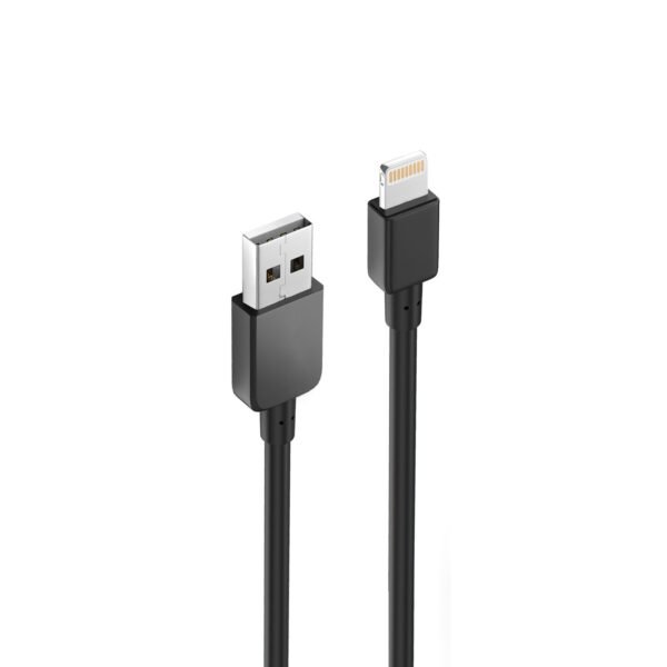 10FT Heavy Duty USB Cable 2A For IPhone Black