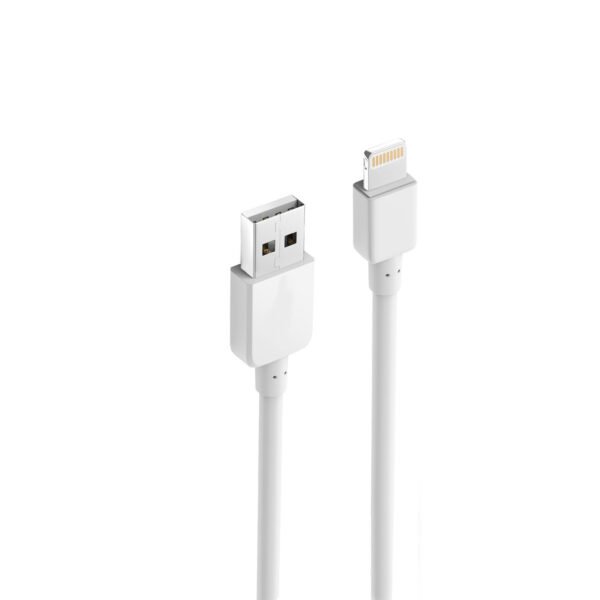 10FT Heavy Duty USB Cable 2A For IPhone White