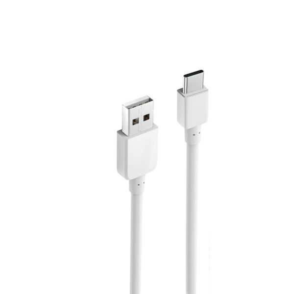 10FT Heavy Duty USB Cable 2A For Type-C White